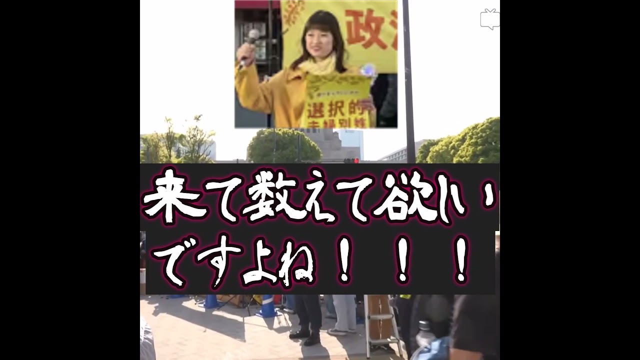 【1か月ちょいで参加者が10倍】「デモ参加人数は36,000人!3人で数えました!」と大本営発表をする菱山南帆子さん #shorts #政治 #国会正門前大行動0419 #colabo