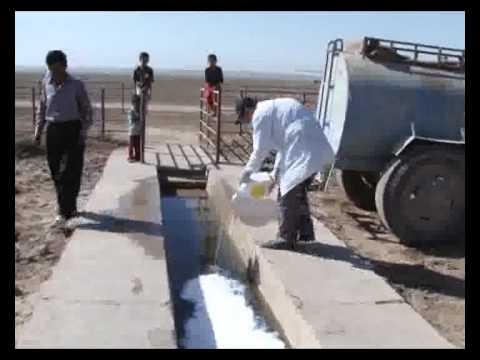 Washing livestock to protect them from diseases and rodents