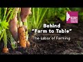 Behind Farm to Table: The Labor of Farming