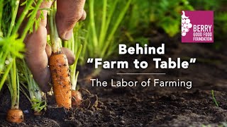 Behind Farm To Table The Labor Of Farming