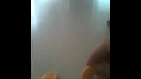 Goldfish can be really dumb