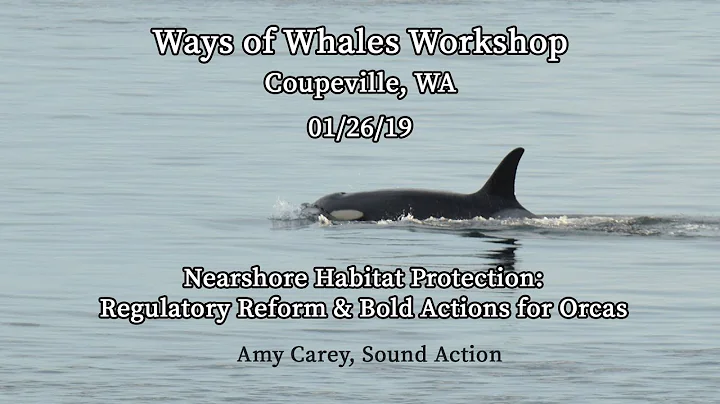 Ways of Whales Workshop #5 - Amy Carey, Sound Acti...