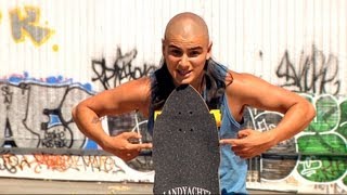 2013 Wolfshark - Landyachtz