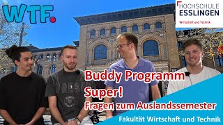 Hey wie wars in Saragossa - Infos zum Buddy Programm