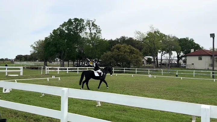USDF Intro Test B / 1st Place