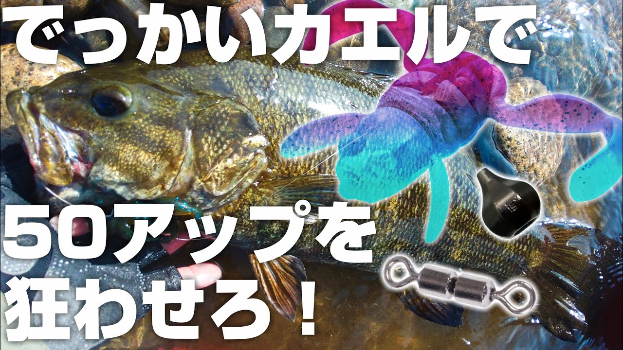 Get a powerful bite and set the hook! Catch a big bass with the