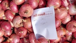 लाईव नीलामी बोली प्याज की शाजापुर मंडी भाव | shajapur mandi bhav | aaj ka pyaj bhav | onion price
