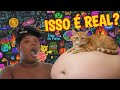 COMPILADO DE CURIOSIDADES QUE VOCÊ NÁO SABIA #fypシ 