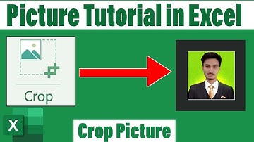 how to crop picture in Excel | Excel picture crop