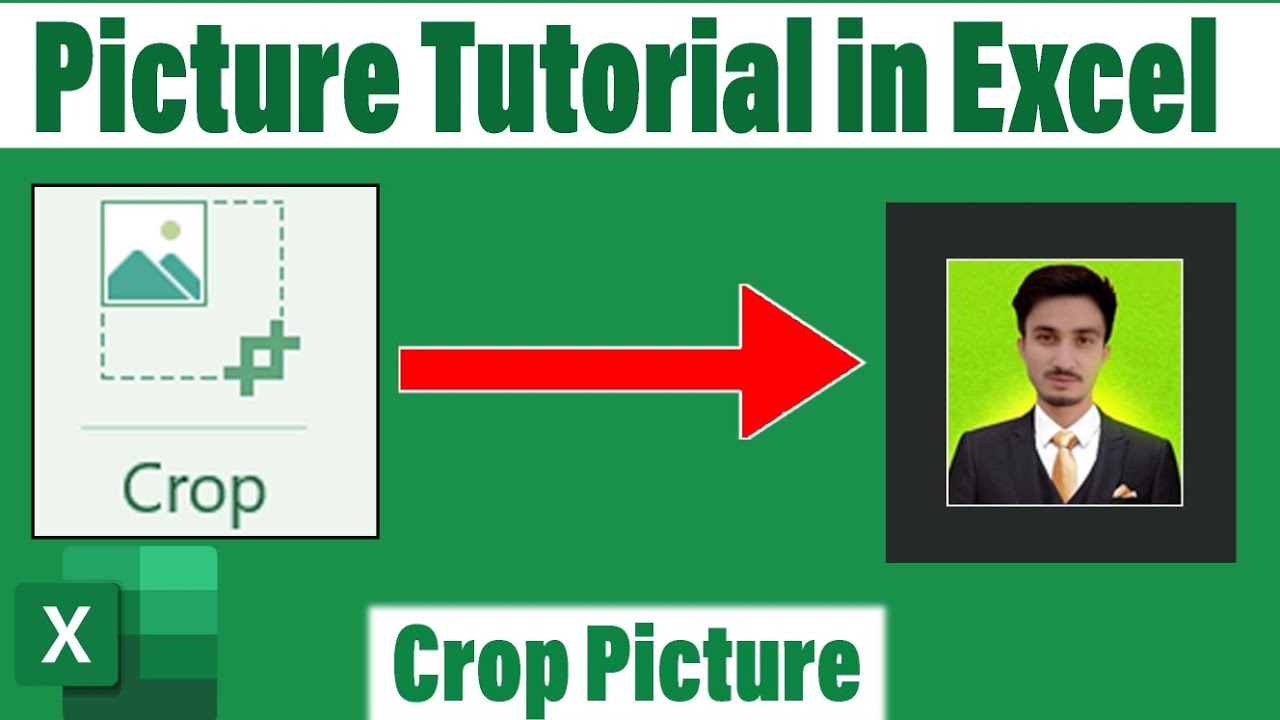 how to crop picture in Excel | Excel picture crop