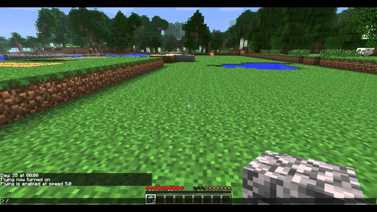 Minecraft: How to Use Fly Command for SPC - YouTube