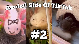 Axolotl Side Of TikTok #2