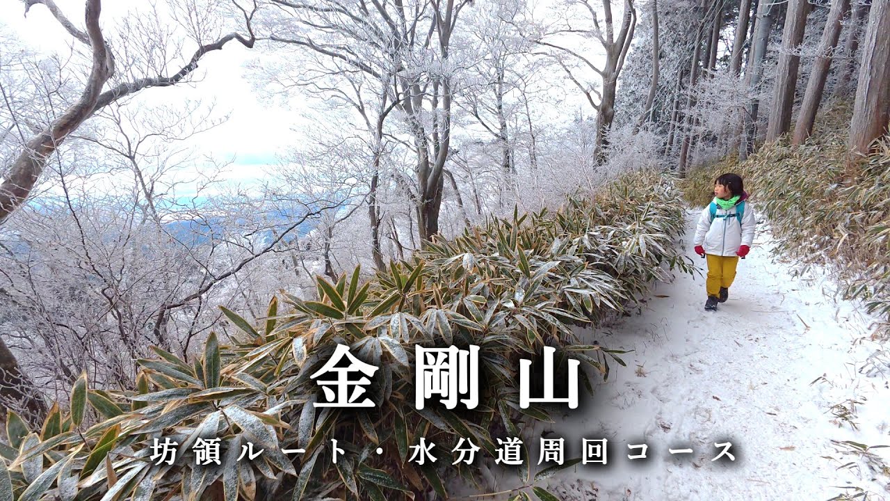 町から登る超ロングコース 積雪の金剛山の坊領ルートを８歳の娘が一心不乱に登る