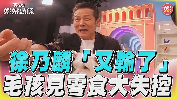 徐乃麟喊「不會輸」下秒慘破功 偕徐新洋帶毛孩挑戰「美食誘惑」｜TVBS新聞