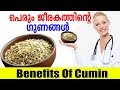     benefits of cumin  perum jeerakam  malayalam tasty world