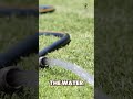 Garden Hose Analogy: Understanding Nerve Compression and Pain Relief #shorts