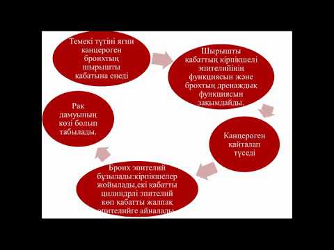 Бейне: Таксол немесе таксотер қайсысы күшті?