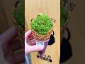 抹茶モンブラン(green tea Mont Blanc) #japanesefood