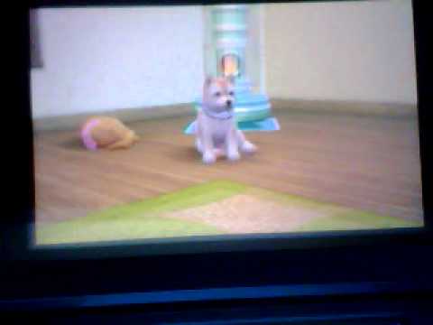 Vidéo: Nouvelles Races Pour Euro Nintendogs