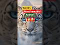 World’s Most Beautiful Animal? Snow Leopard Facts|#shorts
