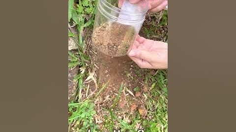 Soil texture by jar method