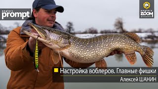 Настройка воблеров. Главные фишки. Алексей Шанин. Anglers Prompt