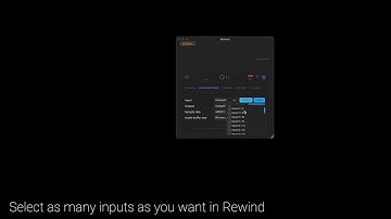 Monkey© - Rewind - Multiple Inputs