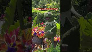 Epcot - Ms Piggy And Kermit Topiaries