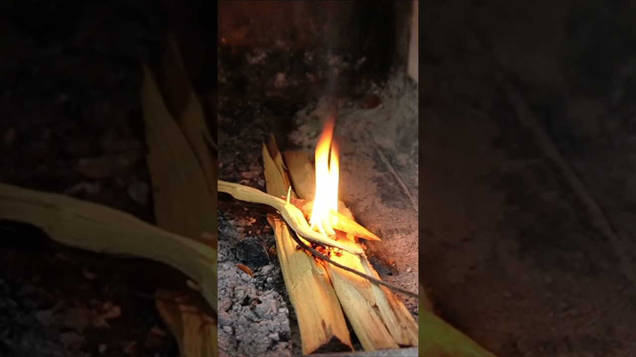 Tent Review | Reliable Shelter for Any Weather