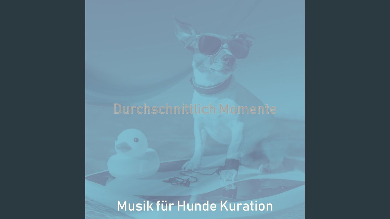 Ernst Hunde - Ambiente - YouTube