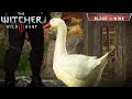 The Witcher 3 - Duck, Duck, Goosed! | Witcher contract from a goose [4K]