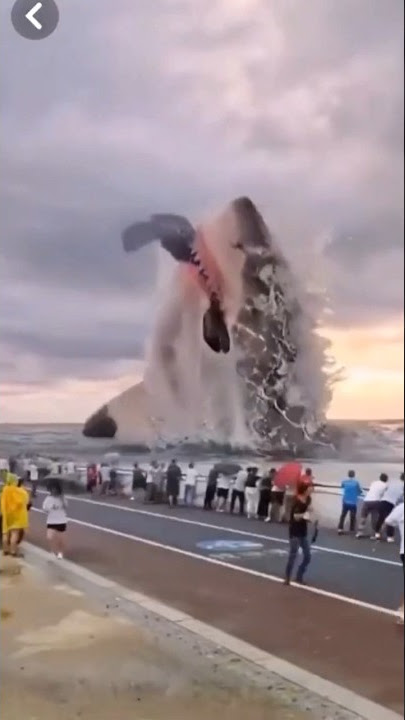 Tiburón gigante #pesca #peses #acuarios #criaredros