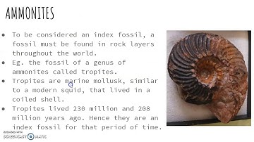 Index Fossils