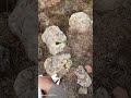 Oda mezar içi. İyonik alantaramayla. Metal tespiti