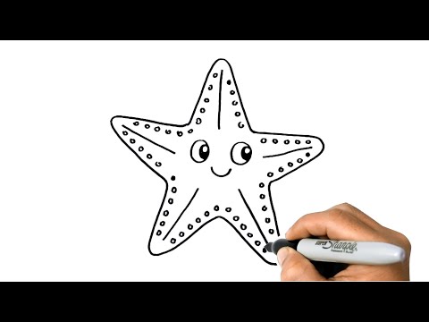 How to DRAW a STARFISH Easy Step by Step