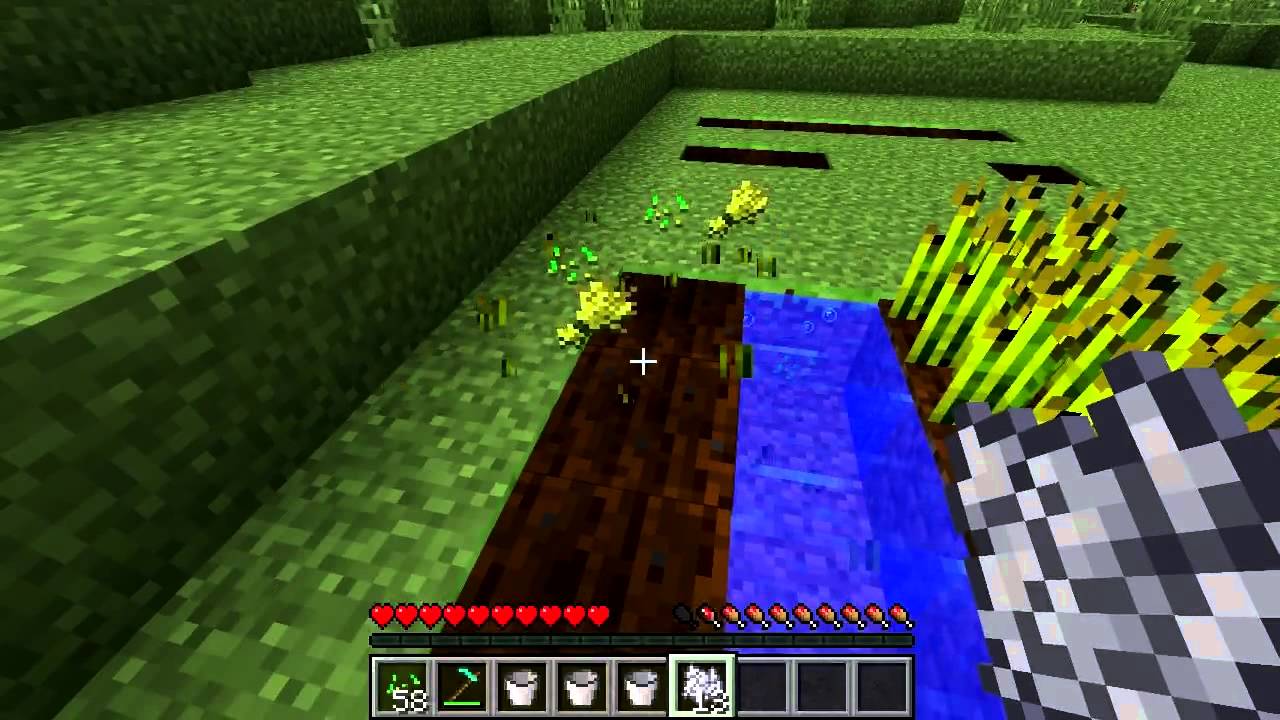 Minecraft Blocks & Items Wheat YouTube