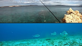 What really happens underwater | SEA BREAM FISHING🎣