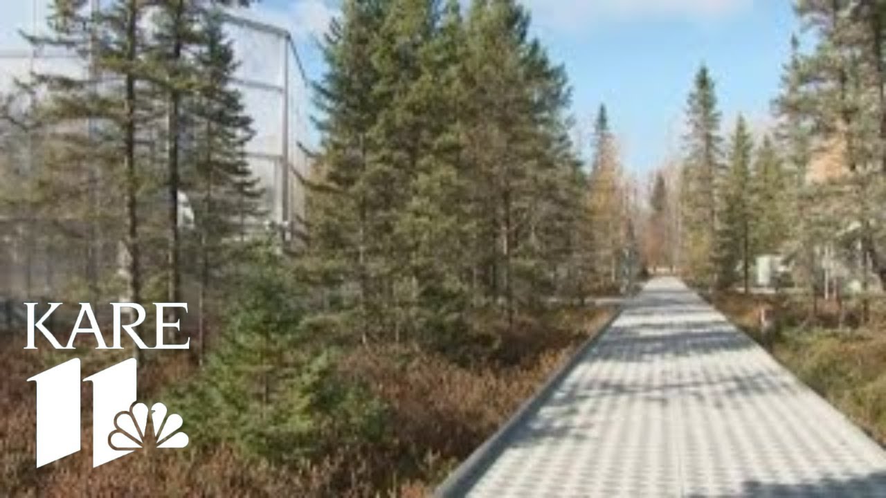 MN researchers do climate change experiment