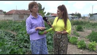 Emekli olunca köye yerleşen aile " Çok huzurluyuz Herkese Köyde yaşamayı tavsiye ederiz' dediler