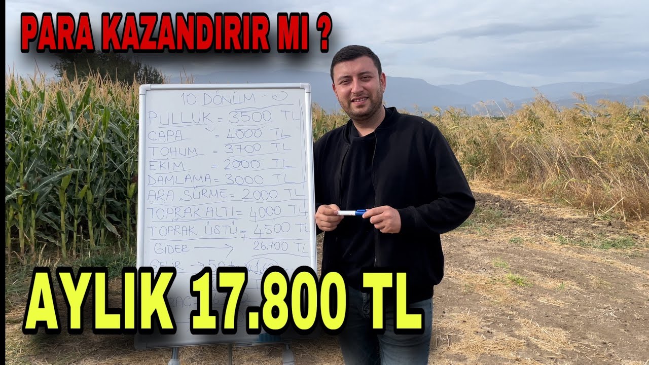 10 DÖNÜM MISIR TARLASI KAÇ PARA KAZANDIRIR ?