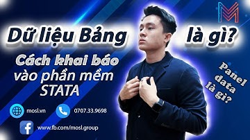 Dữ Liệu Bảng (Panel Data) là gì? Hiểu Sâu Cách Khai Báo Trong STATA Full Chi Tiết 2023