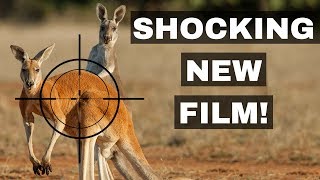 Are You Paying For Kangaroo And Don't Know It?