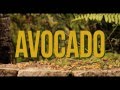 Jah9  avocado official