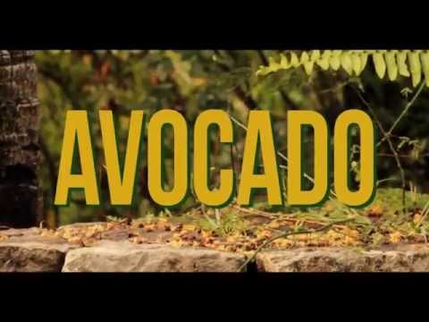 Jah9 - Avocado (Official Video) 