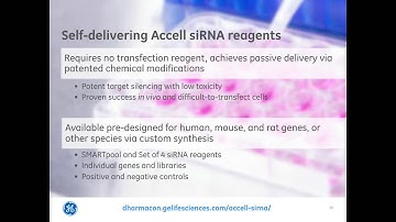Louise Baskin and Michael Freeley - RNAi success in difficult to transfect cells by self delivering