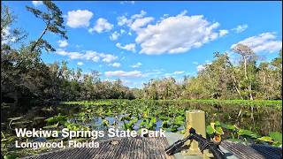 Wekiwa Springs State Park Boat Ride | Scenic River Run | Relaxing Ambient 4K