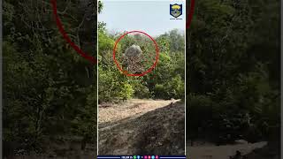 नक्सल विरोधी अभियान के तहत #BiharPolice की बड़ी कार्रवाई !