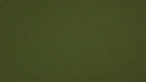 Interpersonal Communication Interview #1