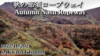 【autumn leaves scenery】秋の那須ロープウェイ Autumn Nasu Ropeway autumnleaves