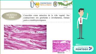 TRANSFORMACION DE MUSCULO A CARNE